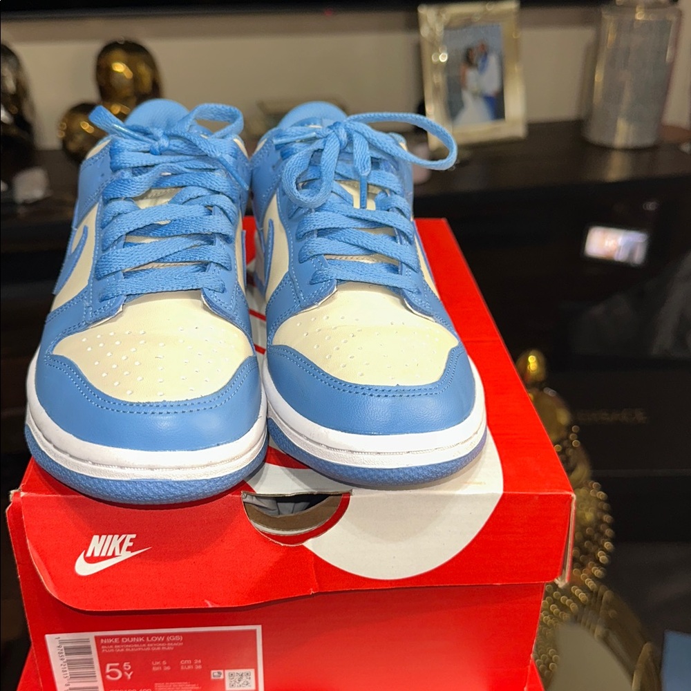 Nike Dunk Low